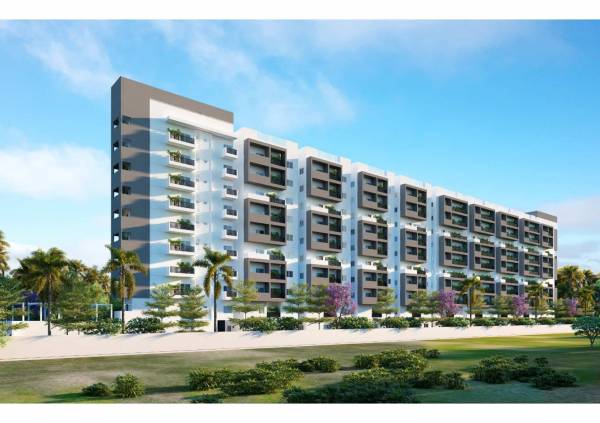  east-woods Elevation