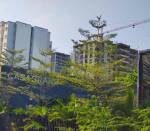 constructionStatus of Casagrand Cloud 9