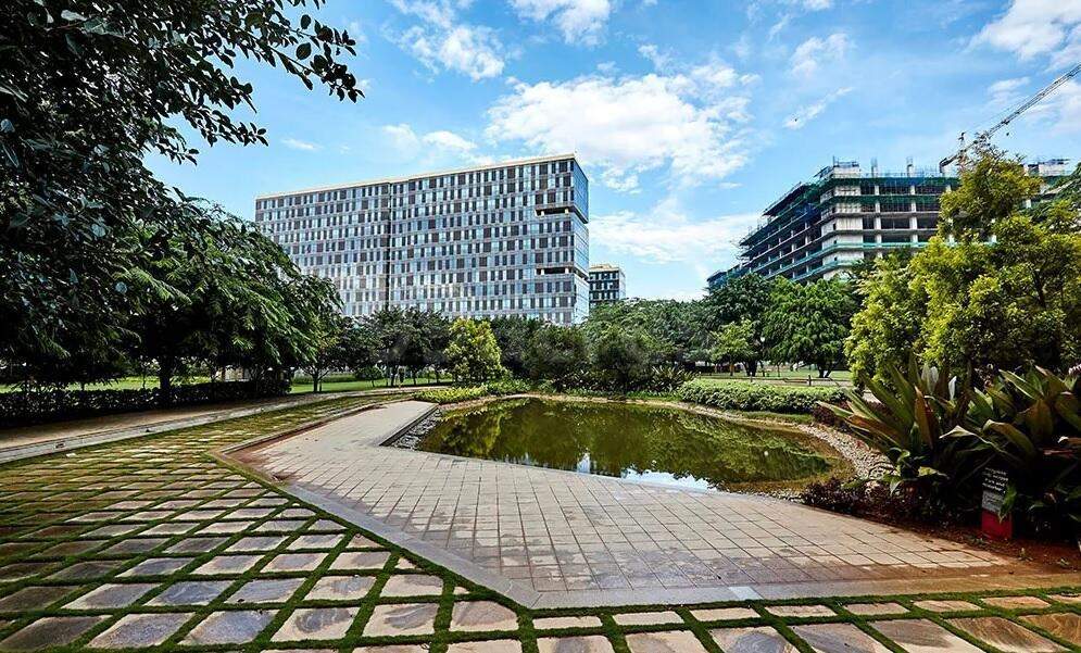 nikoo homes 5 Landscape Garden and Tree Planting