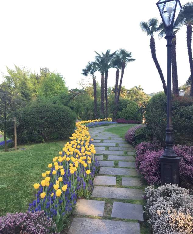  vrindavan city  Landscape Garden and Tree Planting