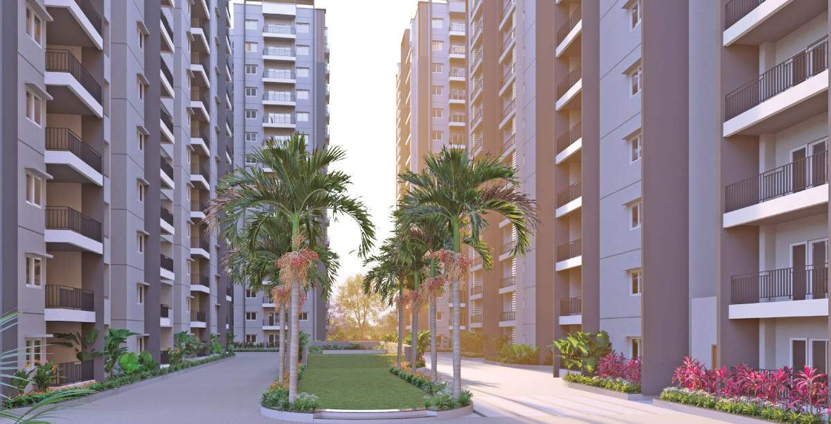  vnms Landscape Garden and Tree Planting