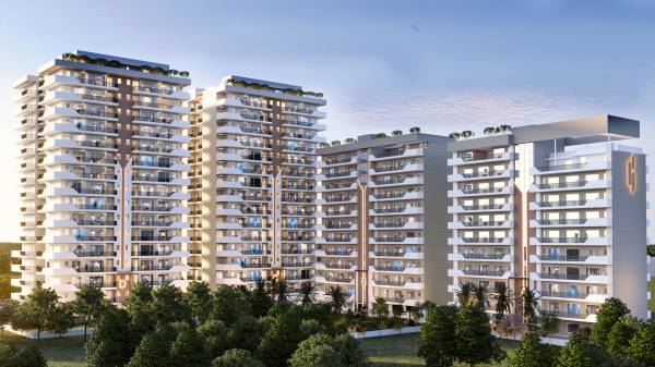 Elevation homez Elevation