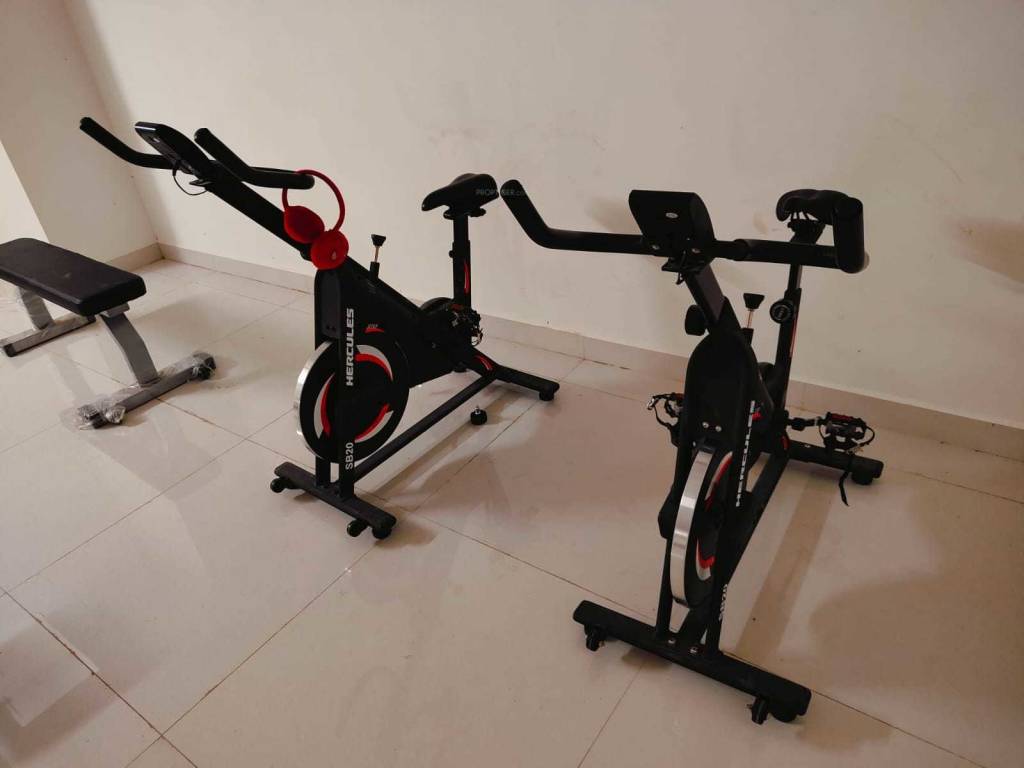  sandalwoods Gymnasium