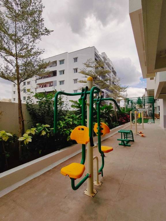  sandalwoods Open Gym