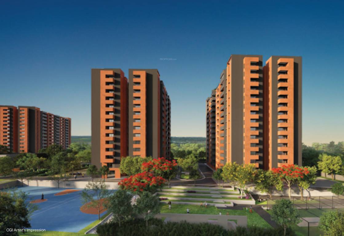  bloom and dell phase 2 Elevation