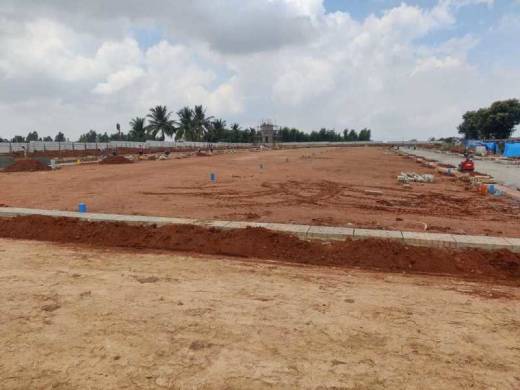 symphony Elevation Elevation