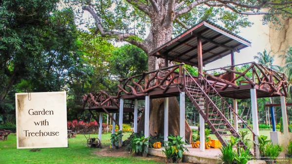  elements Landscape Garden and Tree Planting