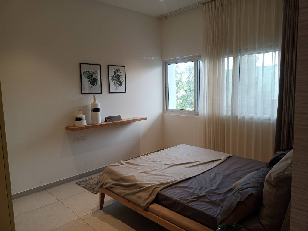 TVS Emerald Elements