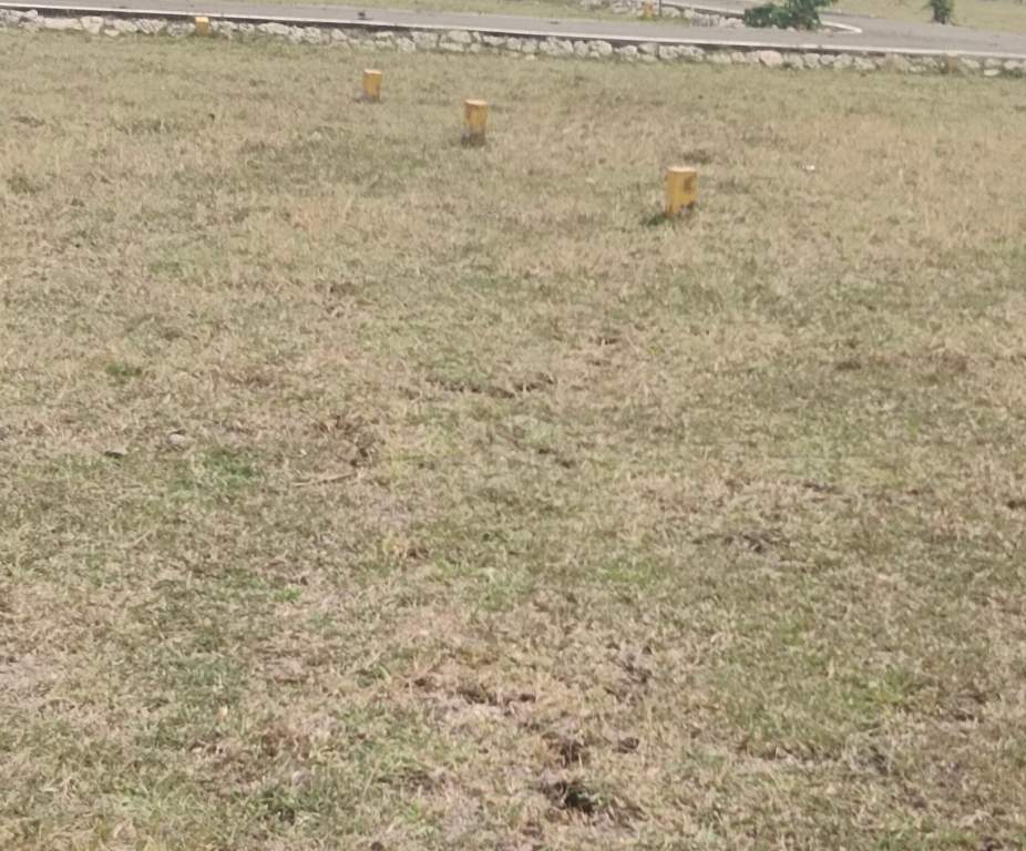  sri sathya nagar Plot