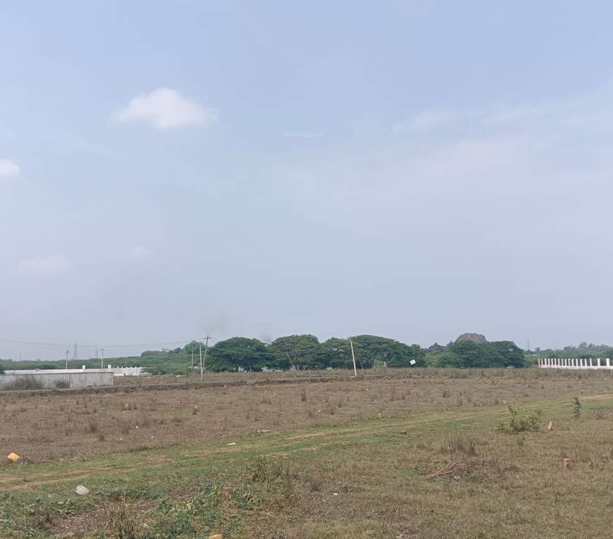  sri sathya nagar Plot