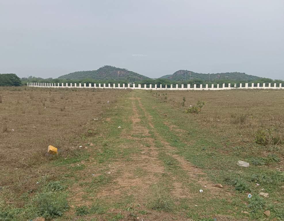  sri sathya nagar Plot