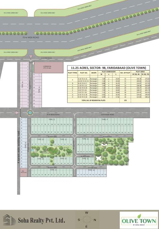  olive town Layout Plan