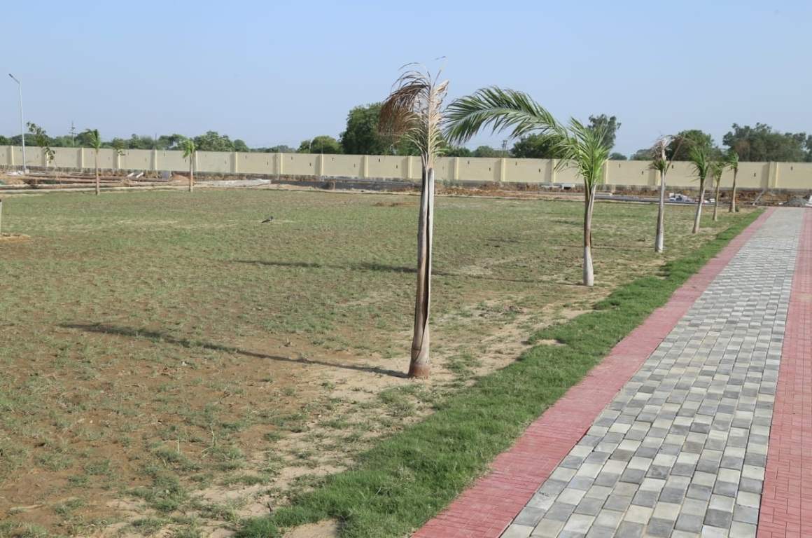 Soha Olive Town