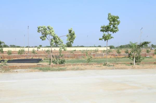 main of Soha Olive Town