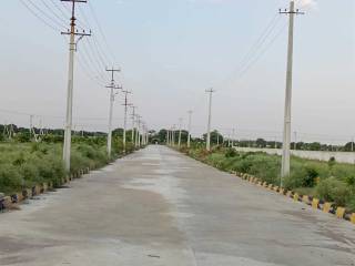 Project Image Project Image