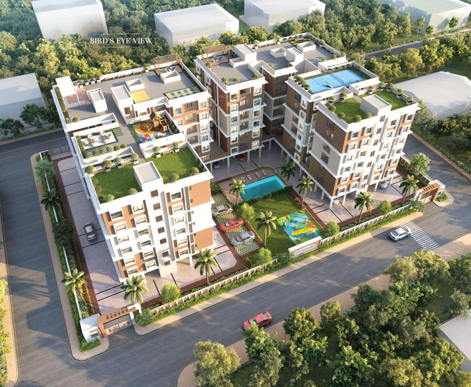  casa dreamville Elevation