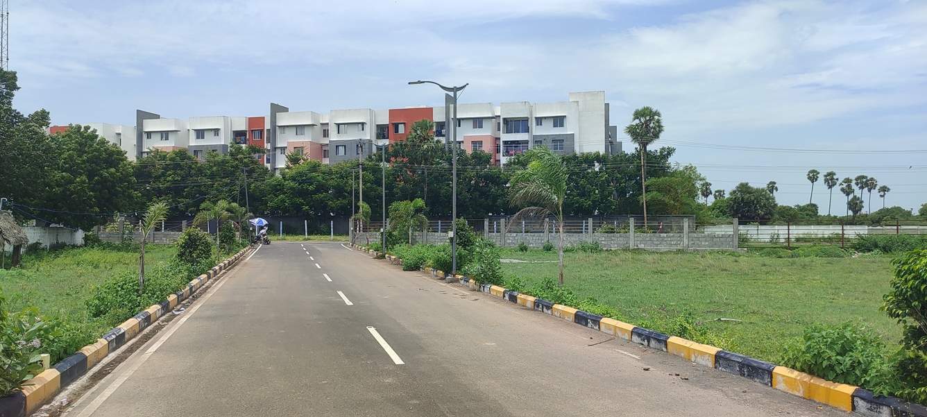  serasa fortune Landscape Garden and Tree Planting