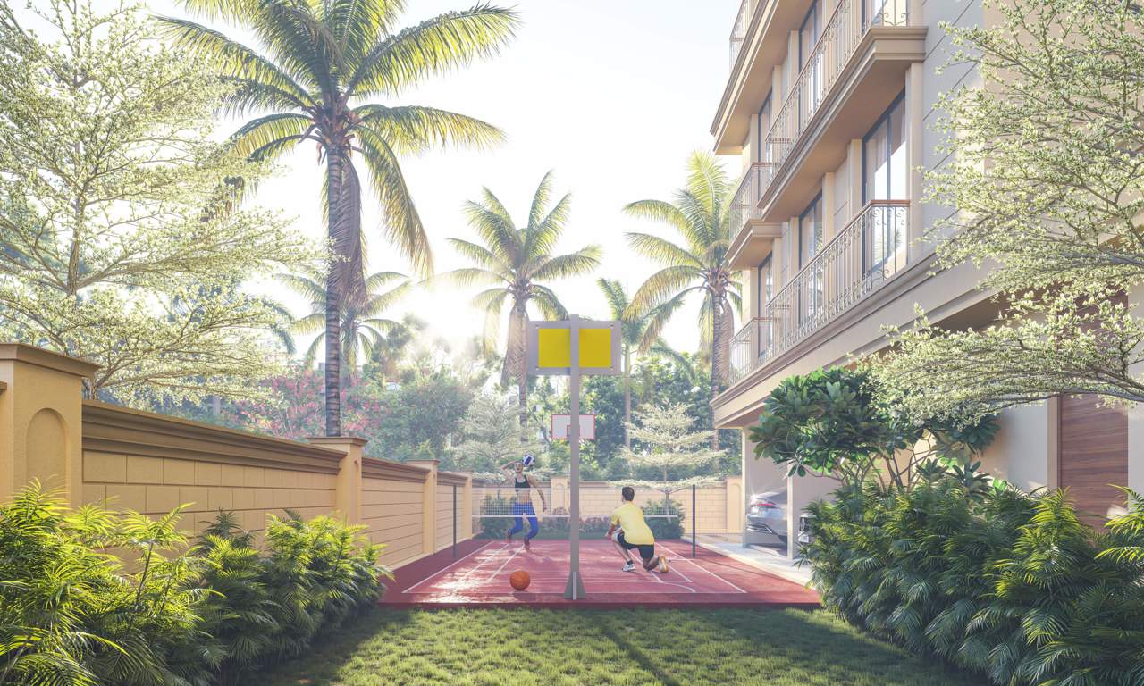  shreem luxuria Others