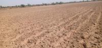 Agriculture Land In Ajmer