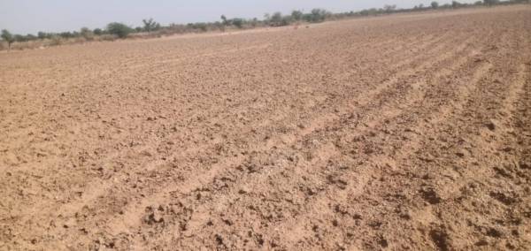 Elevation agriculture-land-in-ajmer Elevation