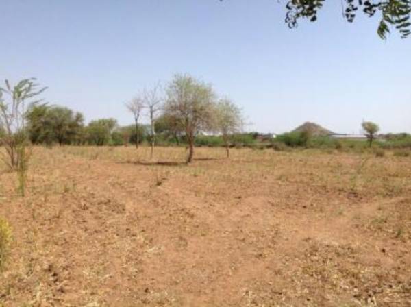  agriculture-land-in-ajmer Plot