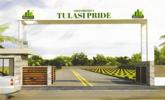 Tulasi Pride