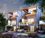  golden-feet Elevation