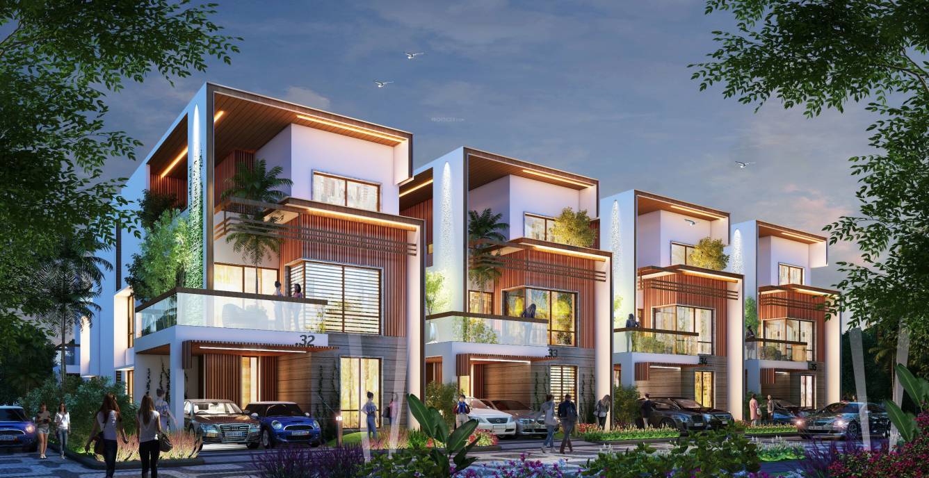 golden feet Elevation