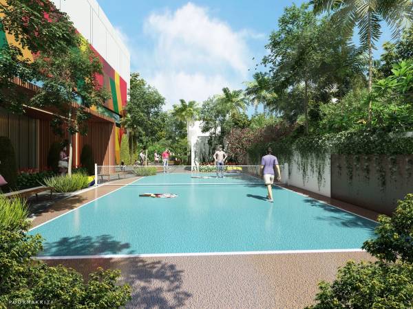 Others golden-feet Others