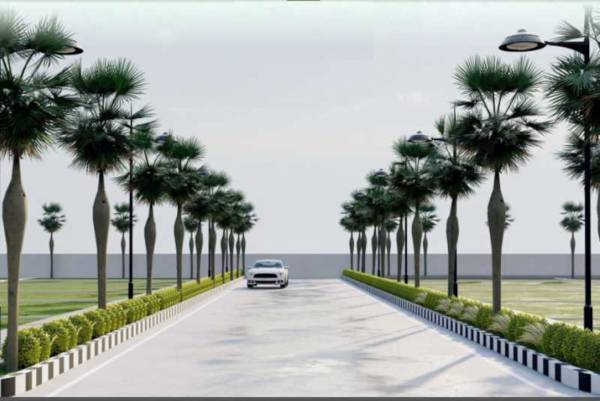  millennia-spring-woods Plot