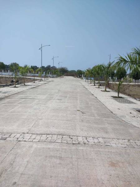 Plot dera-greens-2 Plot