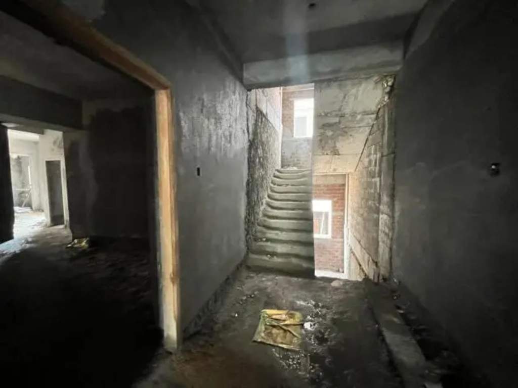  rain forest Construction Status March 24