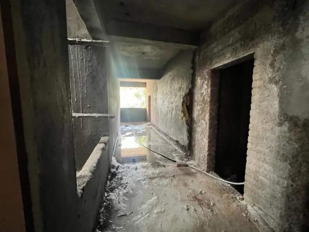  rain forest Construction Status March 24