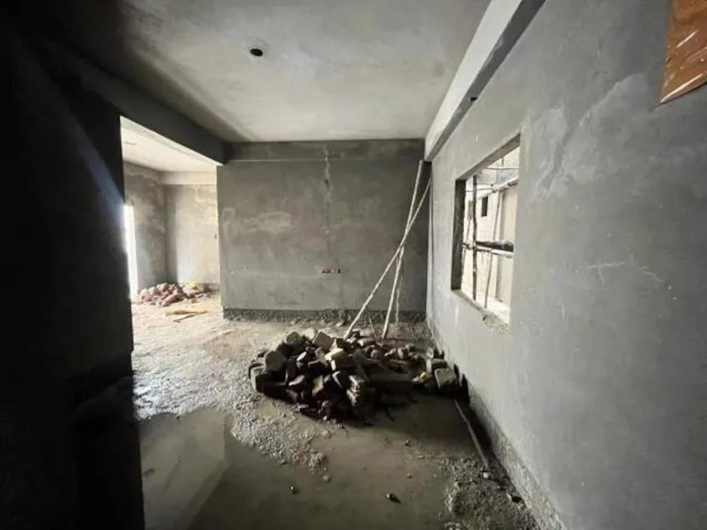  rain forest Construction Status March 24