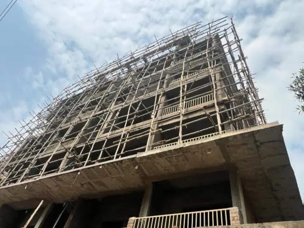  rain forest Construction Status March 24