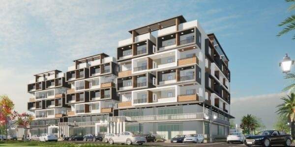  rain forest Elevation