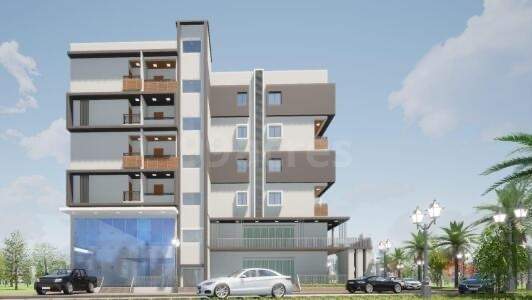  rain forest Elevation