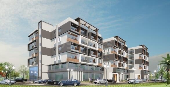  rain-forest Elevation