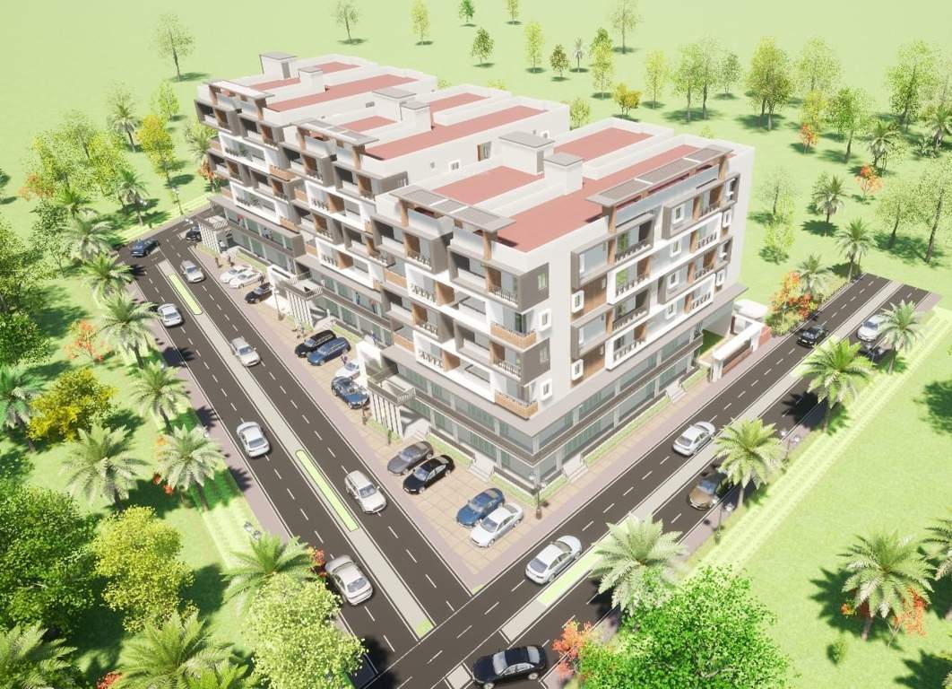  rain forest Elevation