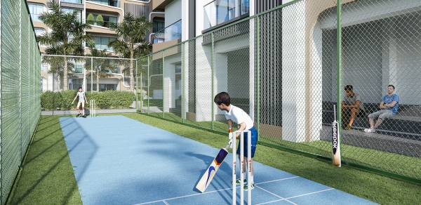  zorista Cricket Pitch