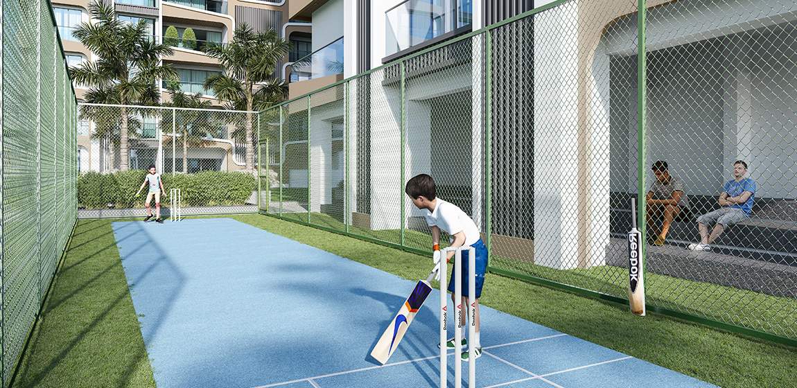  zorista Cricket Pitch