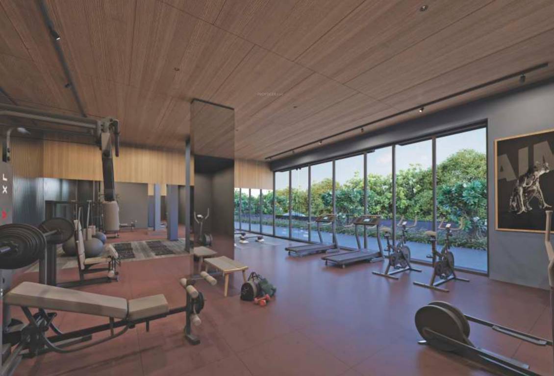  the orchard Gymnasium