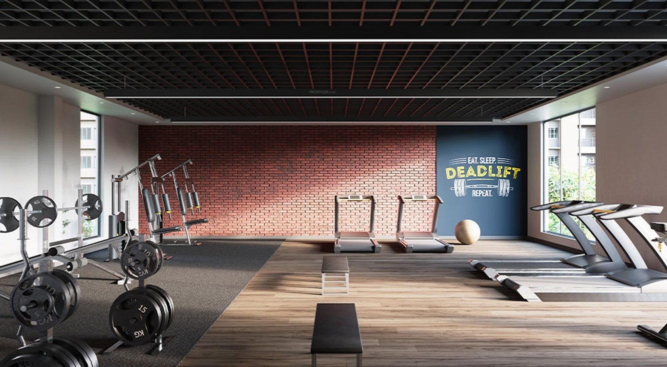  sunrise meadows Gymnasium