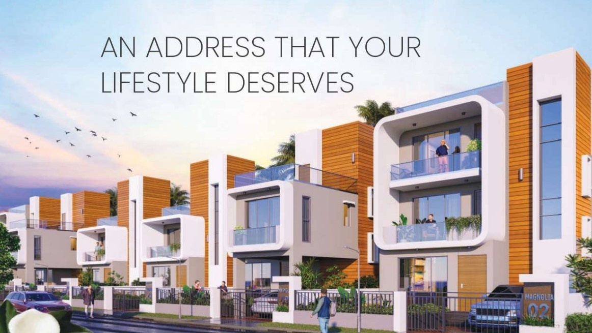  magnolia renaissance Elevation