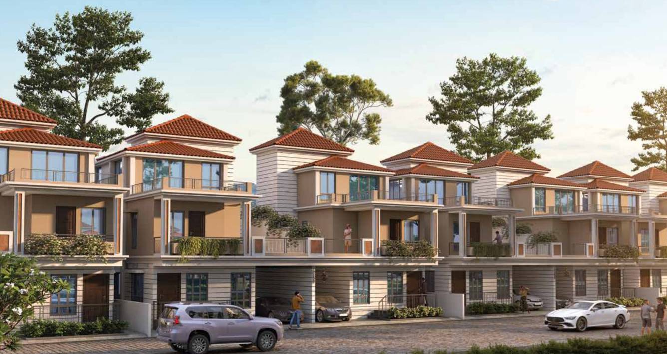  hazelburg phase 1 Elevation