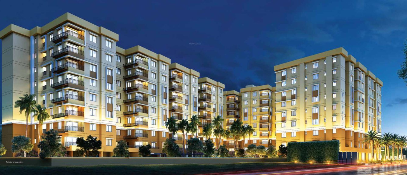  the elements Elevation