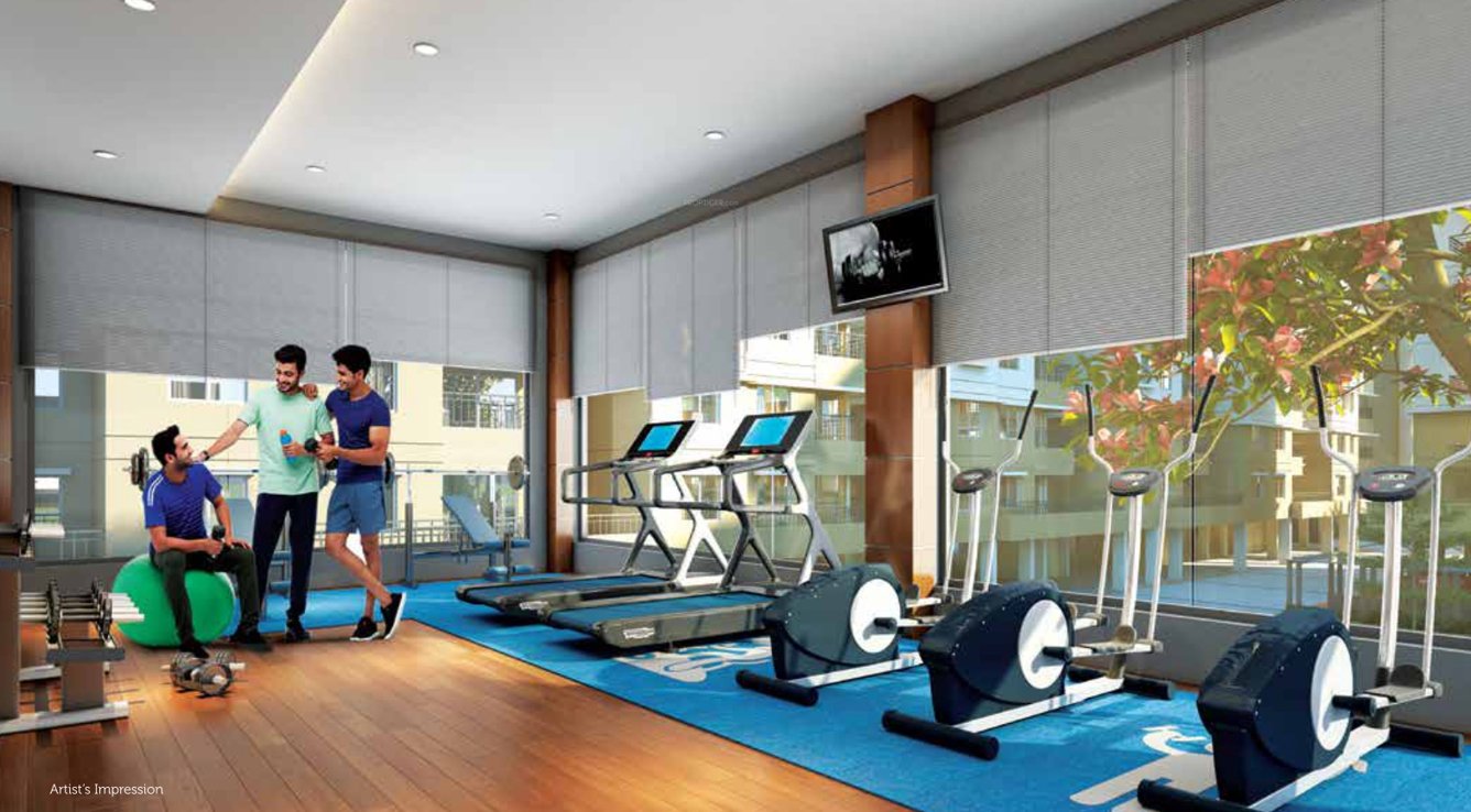  the elements Gymnasium