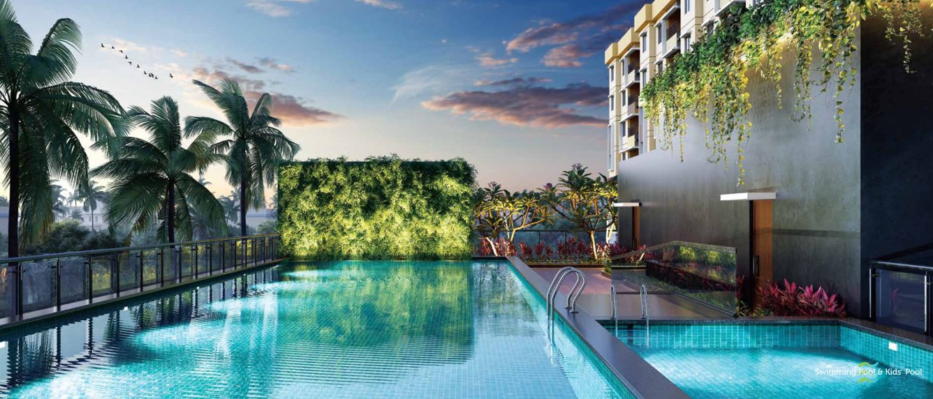  the elements Swimming Pool