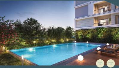  windsor-park Swimming Pool