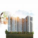 Elevation verde Elevation